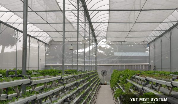 Green-House-Mist-Cooling-62