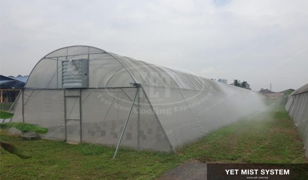 Green-House-Mist-Cooling-64