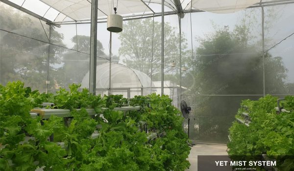 Green-House-Mist-Cooling-73